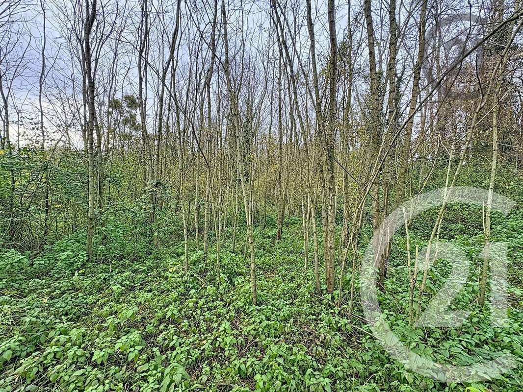 Terrain à CHALAUTRE-LA-PETITE