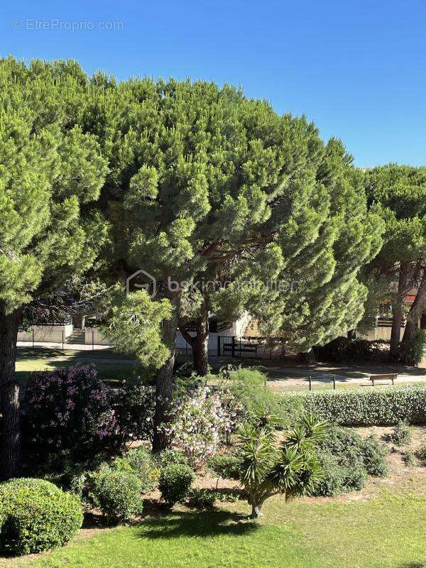 Appartement à LE GRAU-DU-ROI