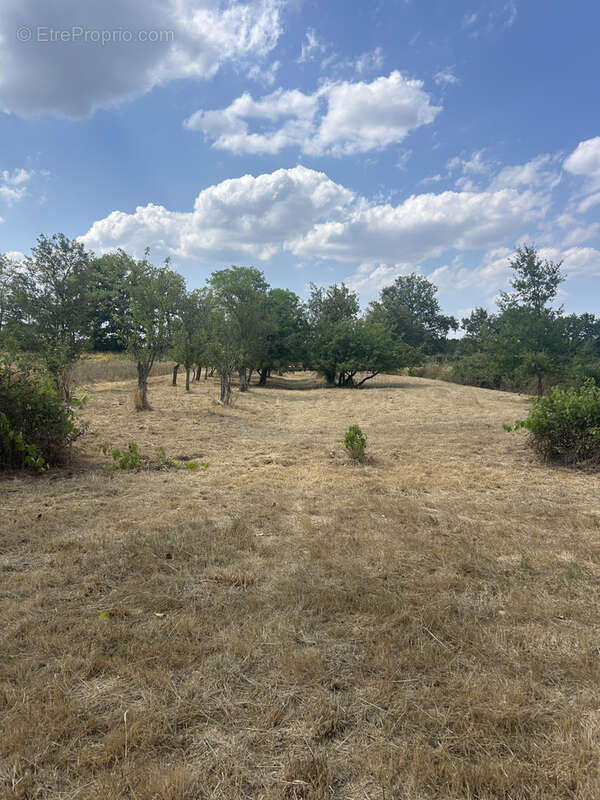 Corps de ferme  a renover, lorris, grand terrain 3400 m2, investisseur - photo 14