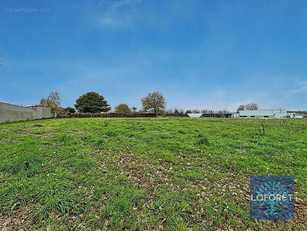 Terrain à LES ESSARTS