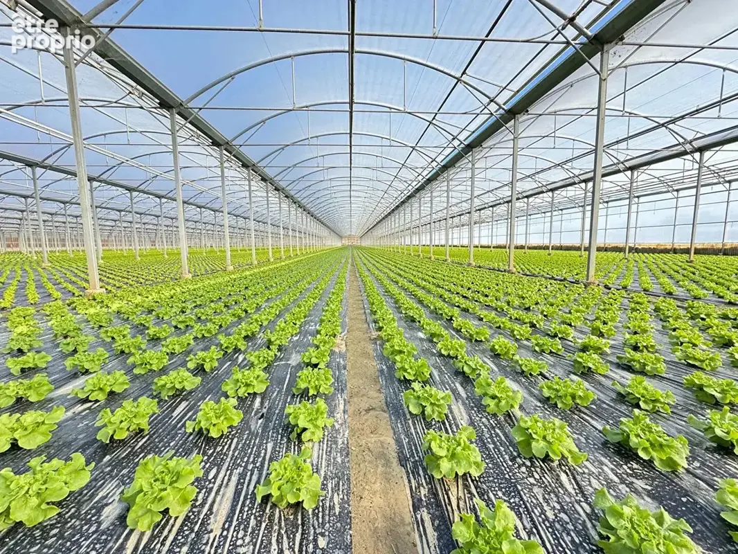 Domaine agricole Bompas 18 000 m2 - photo 5