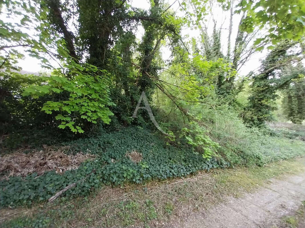 Terrain Mezy Sur Seine 1200 m² - photo 4