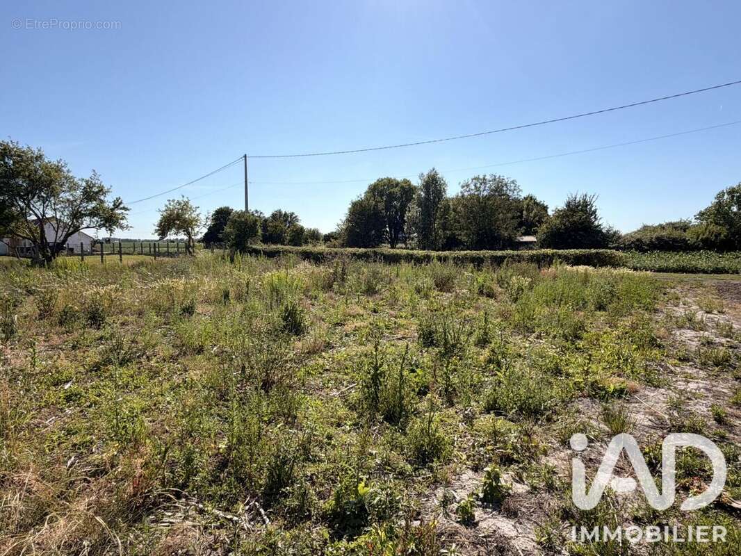 Terrain 631 m² à Looberghe  - photo 4