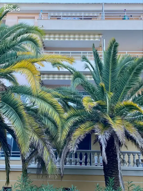 2 pièces avec parking - photo 7