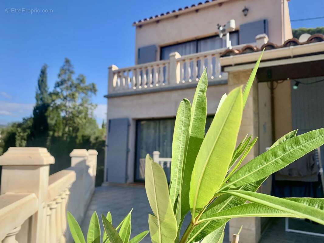 Maison à TREILLES