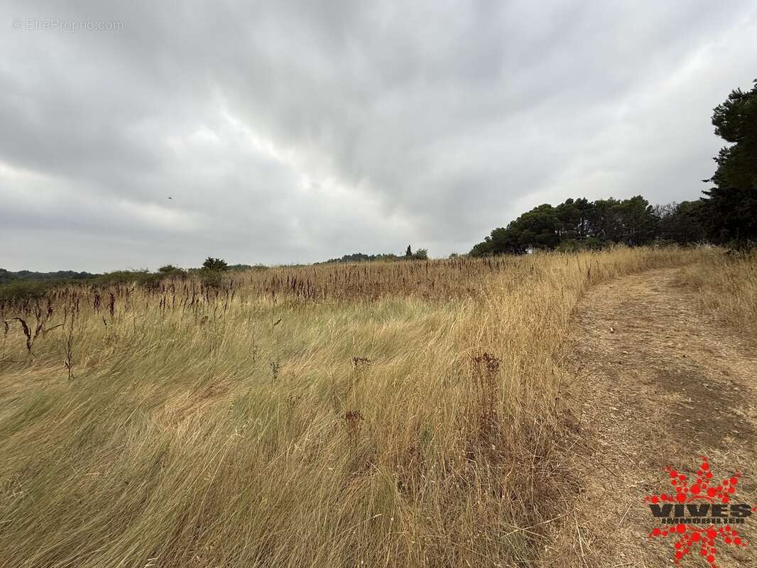 Terrain agricole ou de loisirs - photo 4