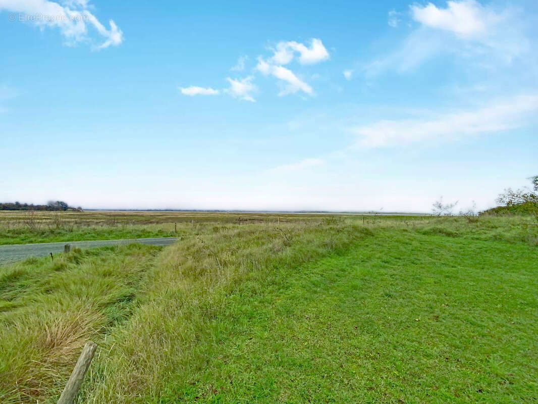 Terrain à SAINT-GERMAIN-SUR-AY
