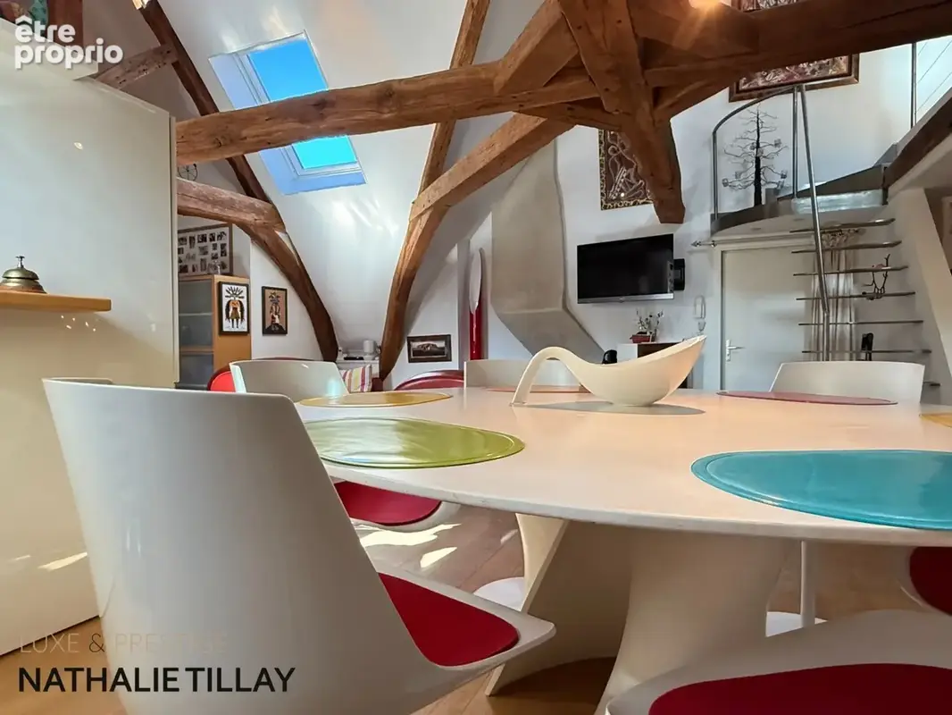 Appartement esprit loft, a vendre, Face Loire Orleans, dernier etage en hotel particulier - photo 7