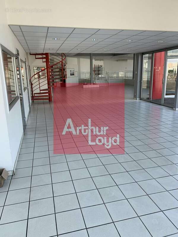 1500 m² à Lafox  - photo 2