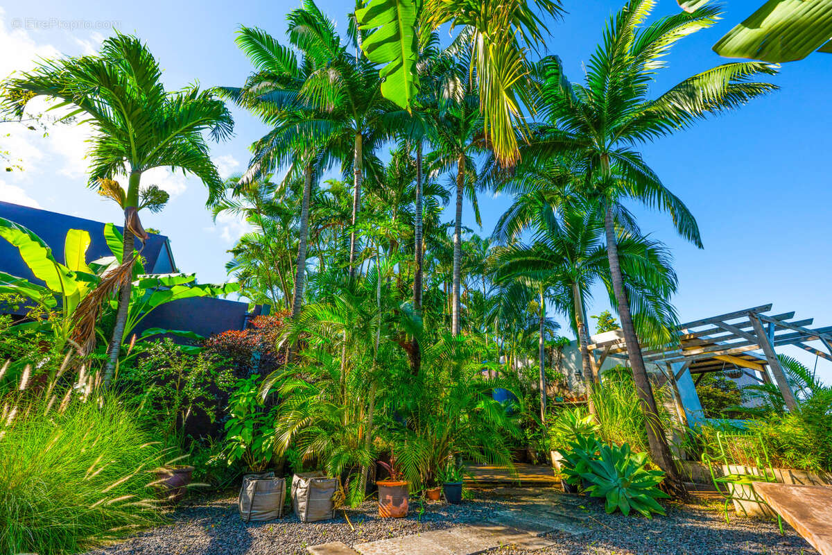 Maison à LA POSSESSION