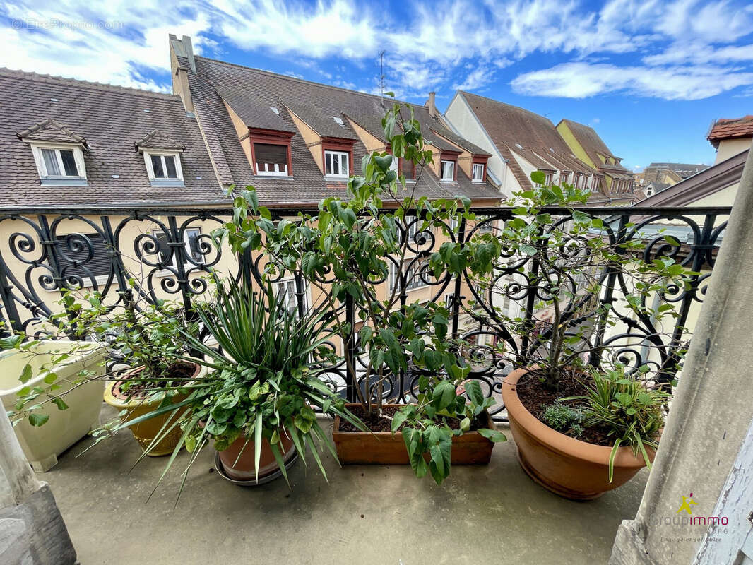 Commerce à STRASBOURG