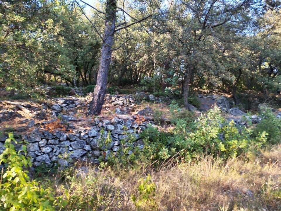 Terrain 1920 m² à Camps-La-Source  - photo 5