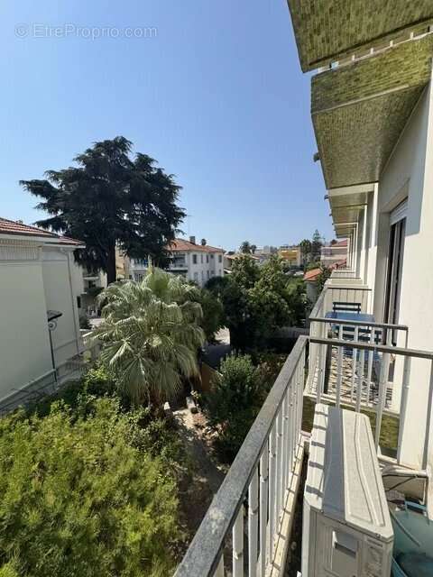 Nice ouest- grand 3 pieces avec parking - photo 2