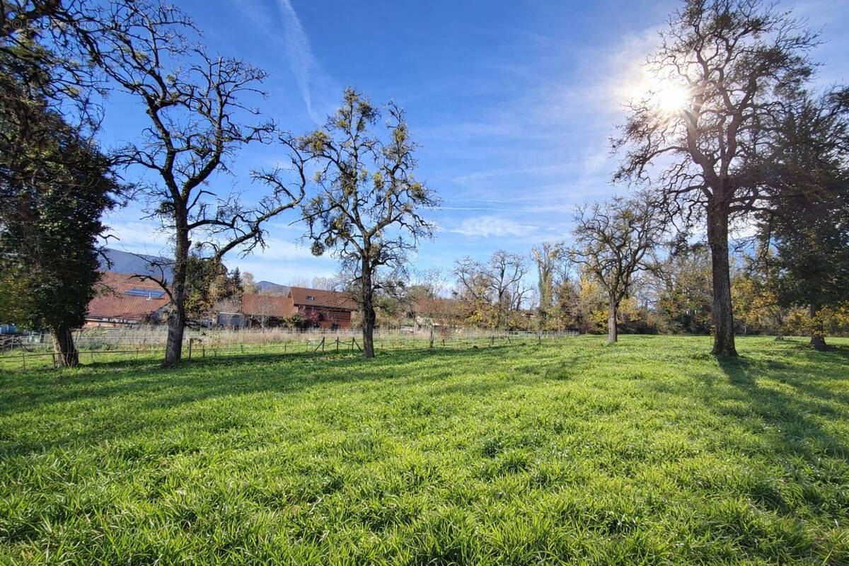 Terrain à ANNECY