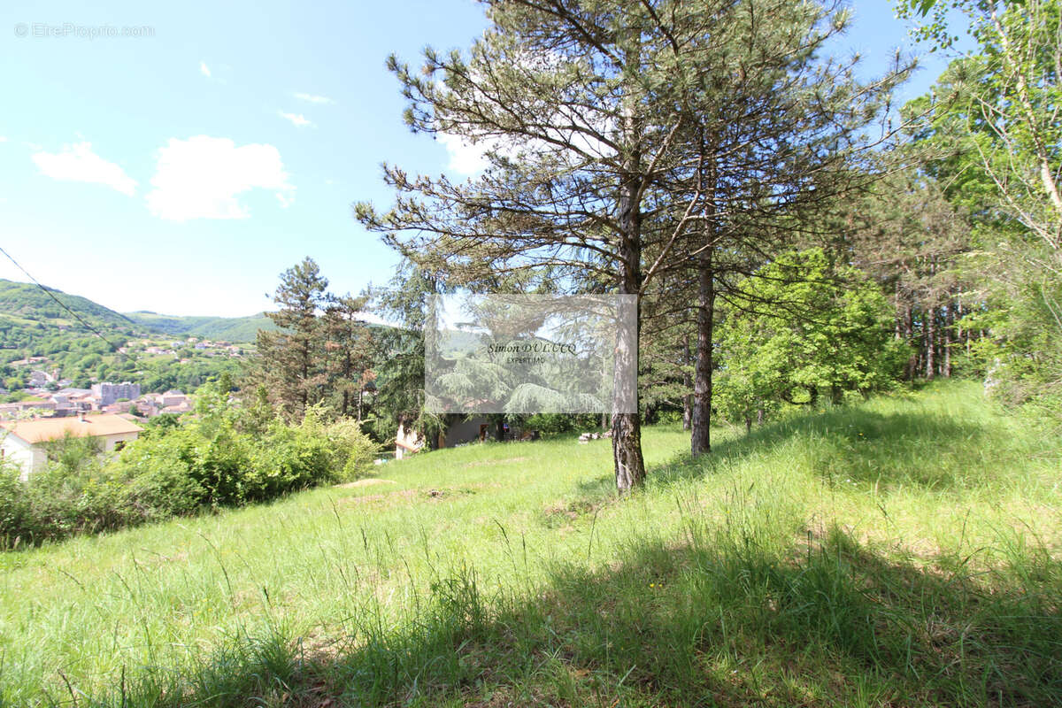 Terrain à SAINT-AFFRIQUE
