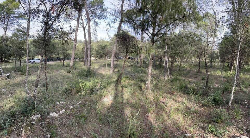 Terrain à LE THORONET