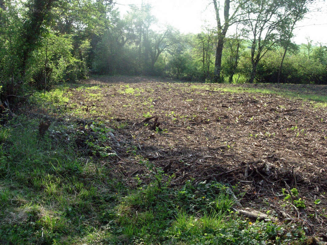 Terrain non constructible - photo 2