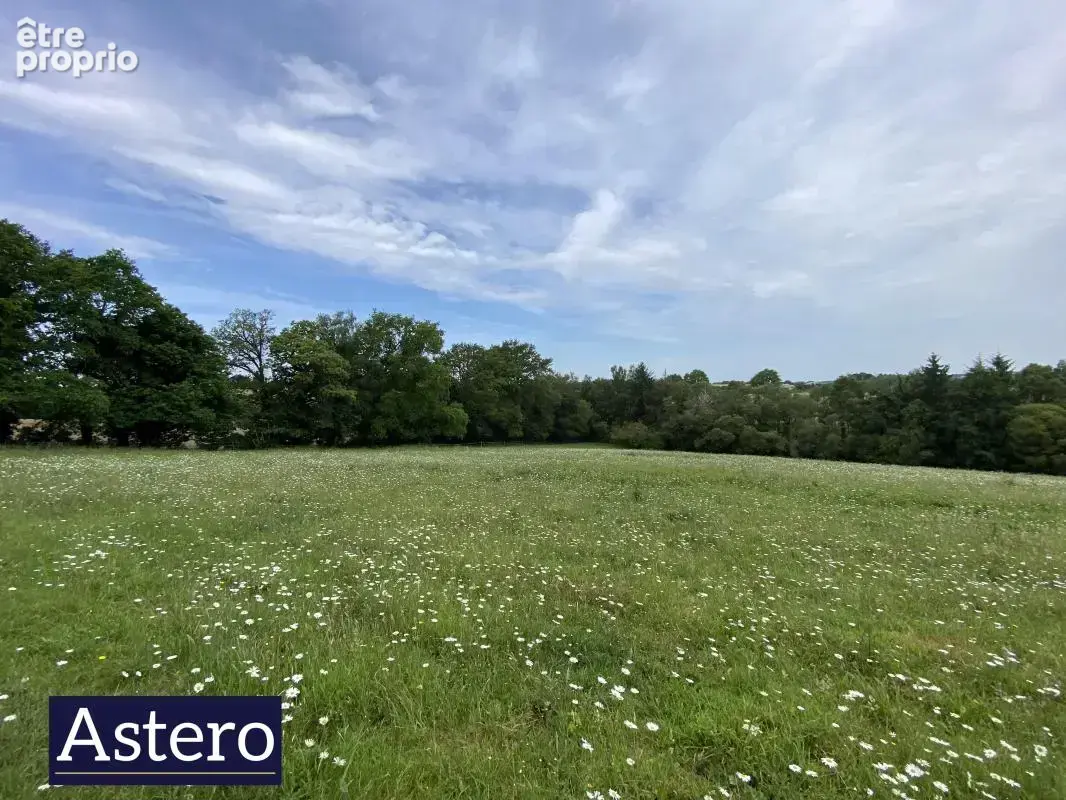 Propriété de caractère sur plus de 6 hectares - environnement exceptionnel et potentiel équestre - photo 14