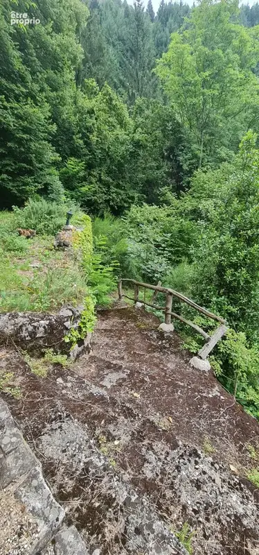Maison et jardin en bordure de rivière - à rafraîchir - bon toit - photo 17