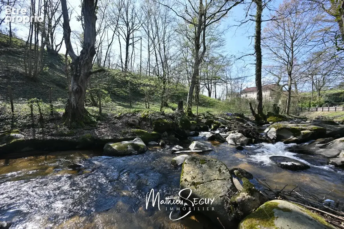 Ancien Moulin sur 1,3 Ha de terrain à MESSIMY (69) - photo 2