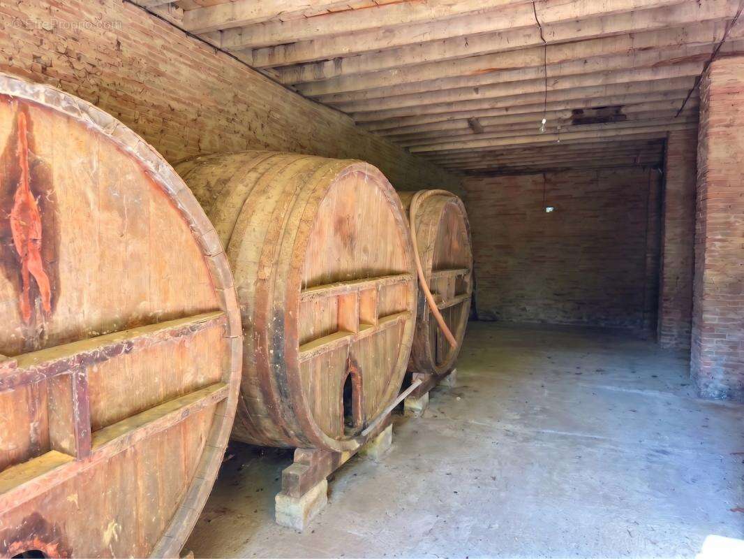 Ancienne orangeraie Charme et Cachet d'exception - photo 13