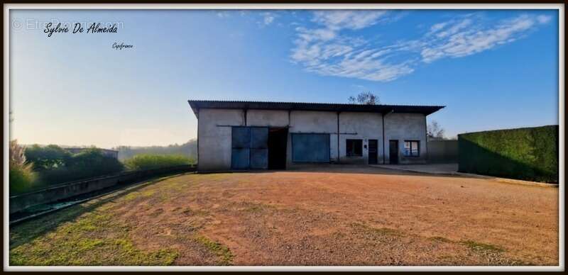 Commerce à BAGE-LA-VILLE
