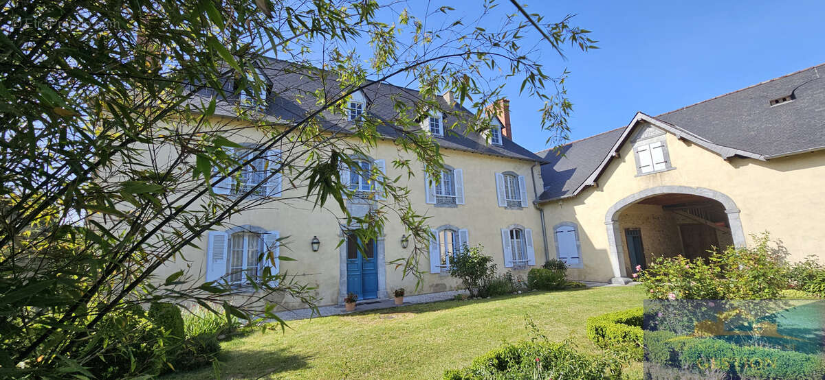 Authentique bearnaise - photo 2