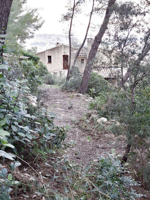 Rare propriété 7000 m2 de terrain tranquillité absolue, villa T4/5 de 157 m2 au calme proche des commodité à 5 - photo 10