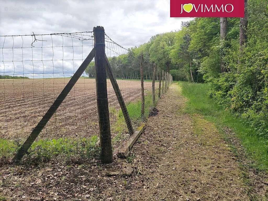 Terrain à MIGNALOUX-BEAUVOIR