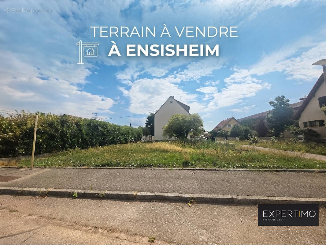 Terrain à ENSISHEIM