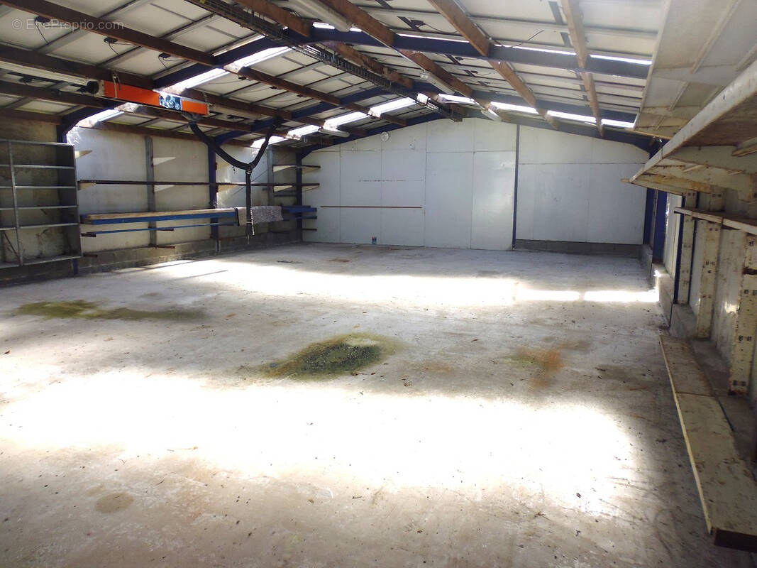 Commerce à TALMONT-SAINT-HILAIRE