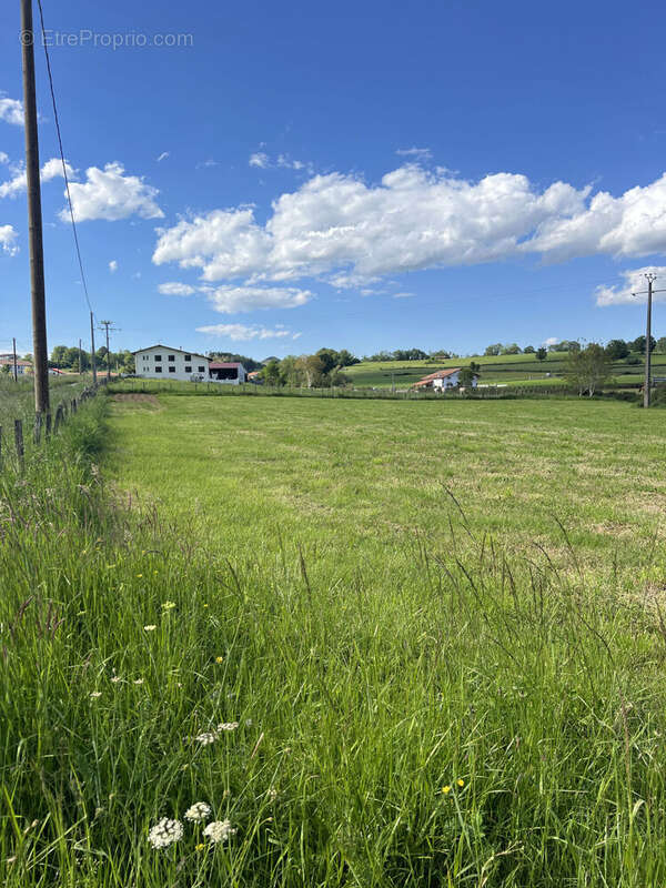 Photo 2 - Terrain à IHOLDY