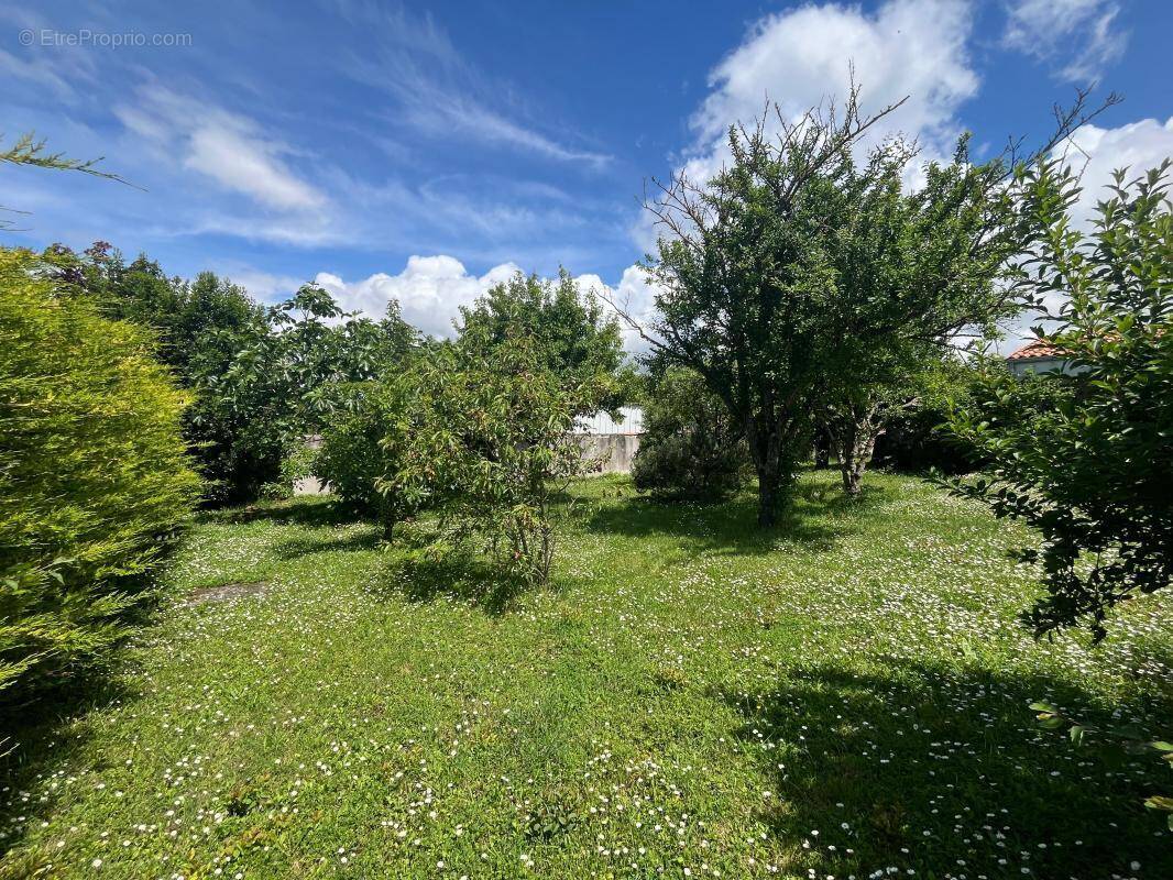 Terrain à NIEUL-SUR-MER