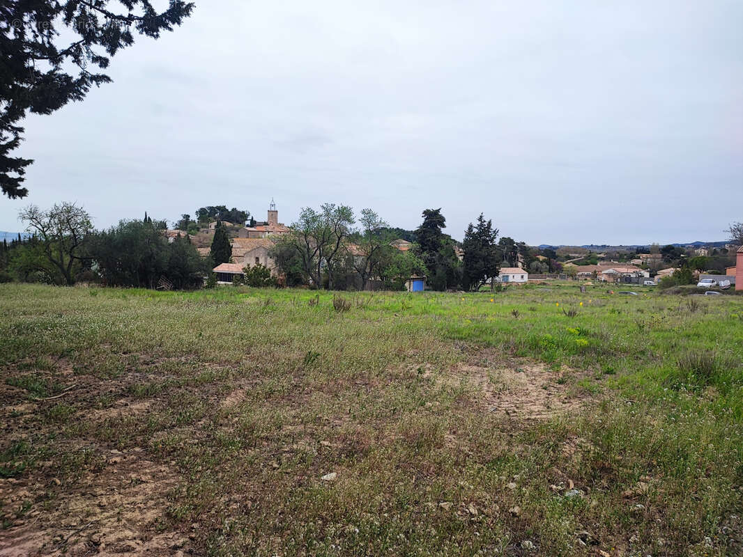 Terrain à CASTELNAU-D'AUDE