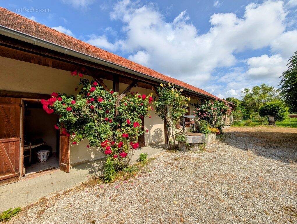 Maison à PIERRE-DE-BRESSE