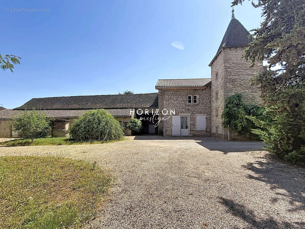 Maison 475 m² à Tournus  - photo 3