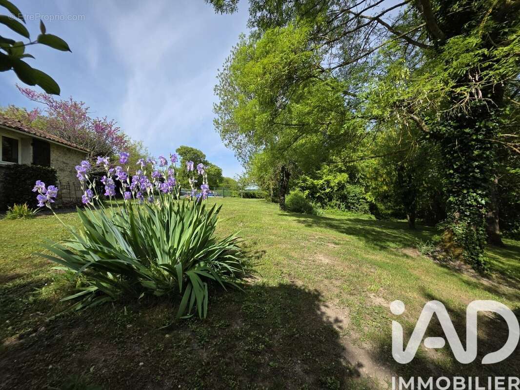Maison 90 m² à Anville  - photo 7