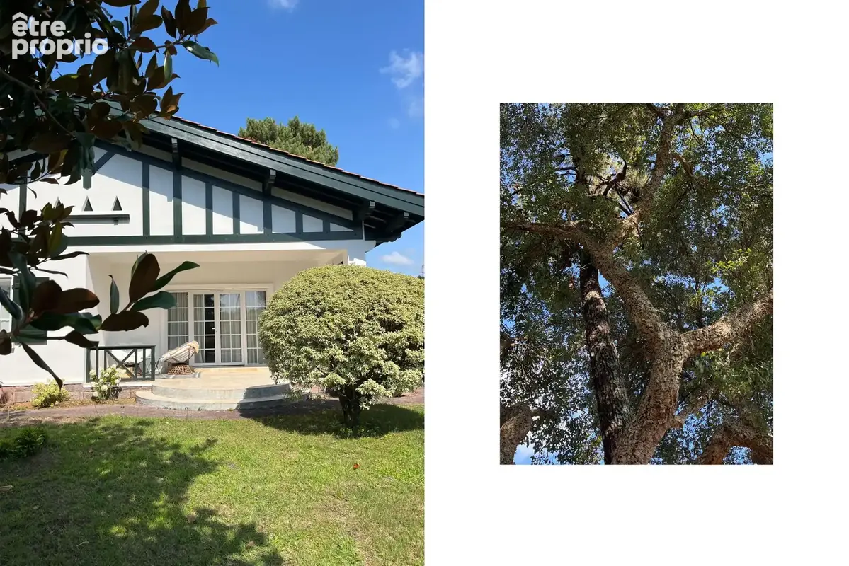 CAPBRETON   Une maison de famille entre océan et douceur landaise - photo 2