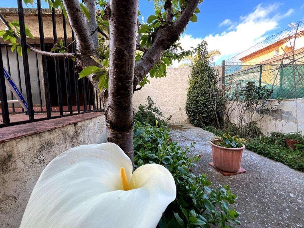 Maison à PEZILLA-LA-RIVIERE