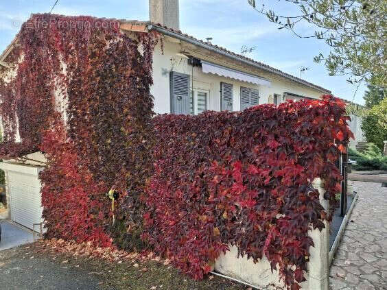 La même chose, mais.....en automne