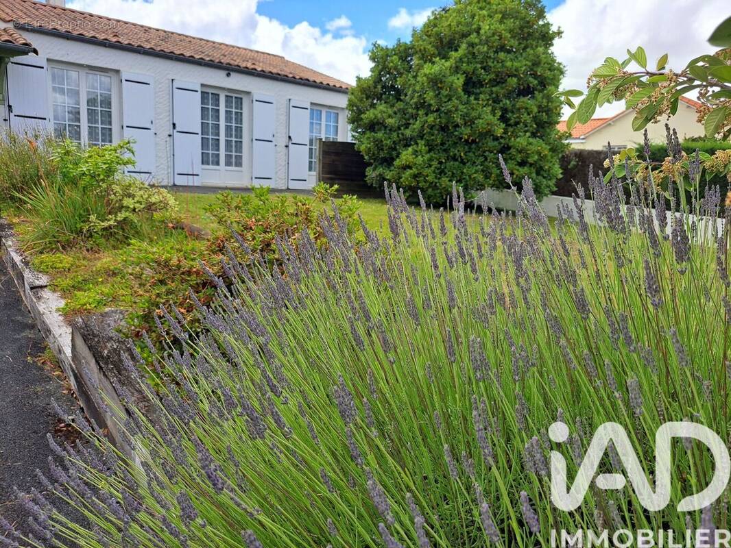Photo 1 - Maison à LA FERRIERE