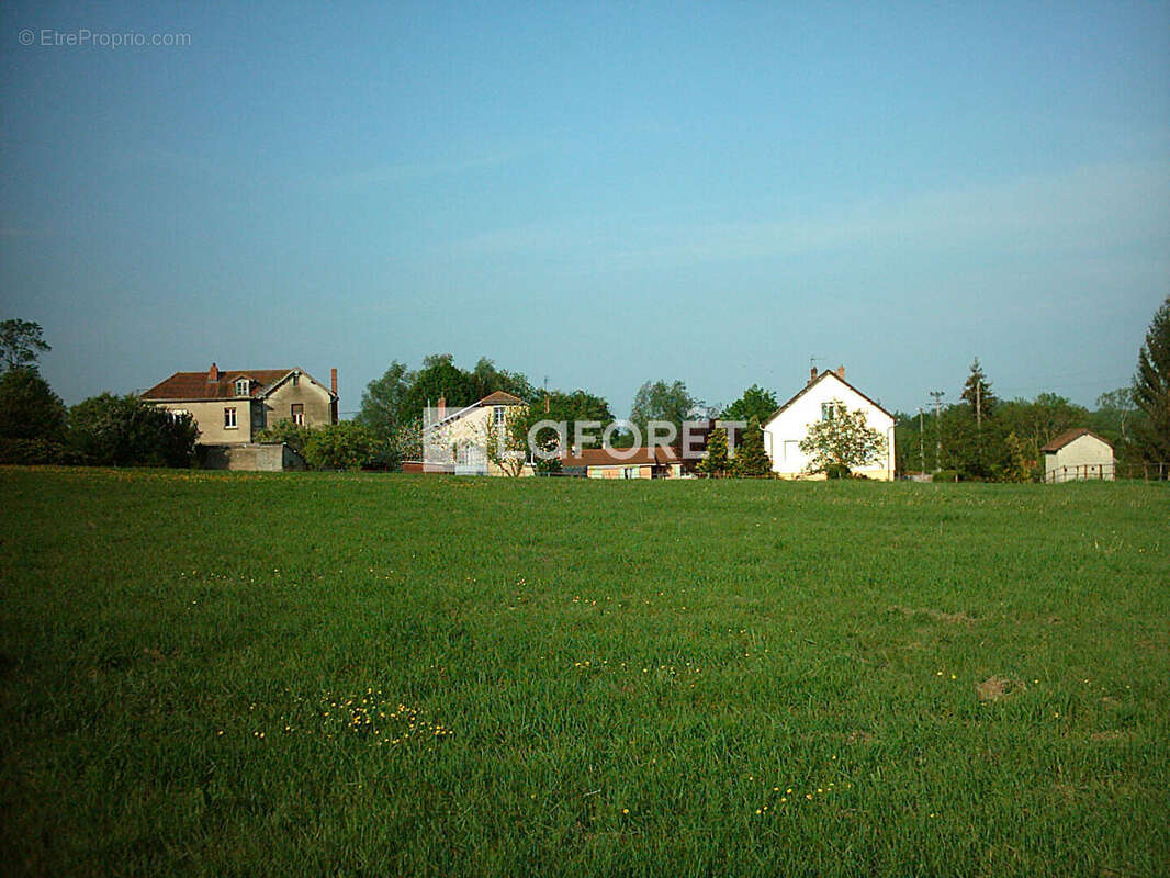 Terrain à SAINT-PAUL-DE-VARAX
