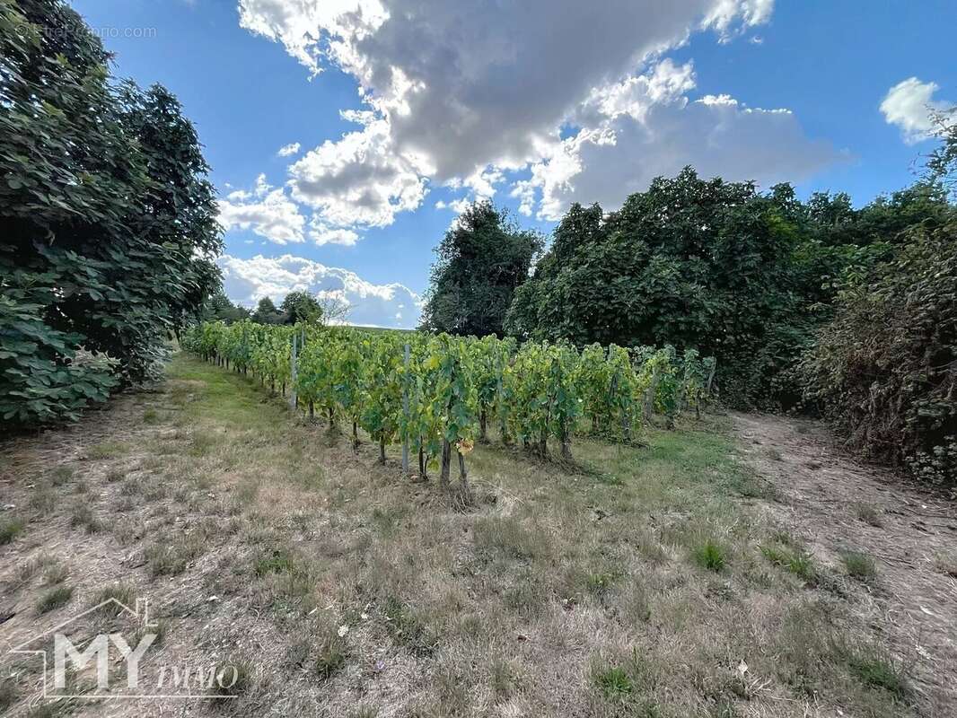 Maison à SAINTE-RADEGONDE