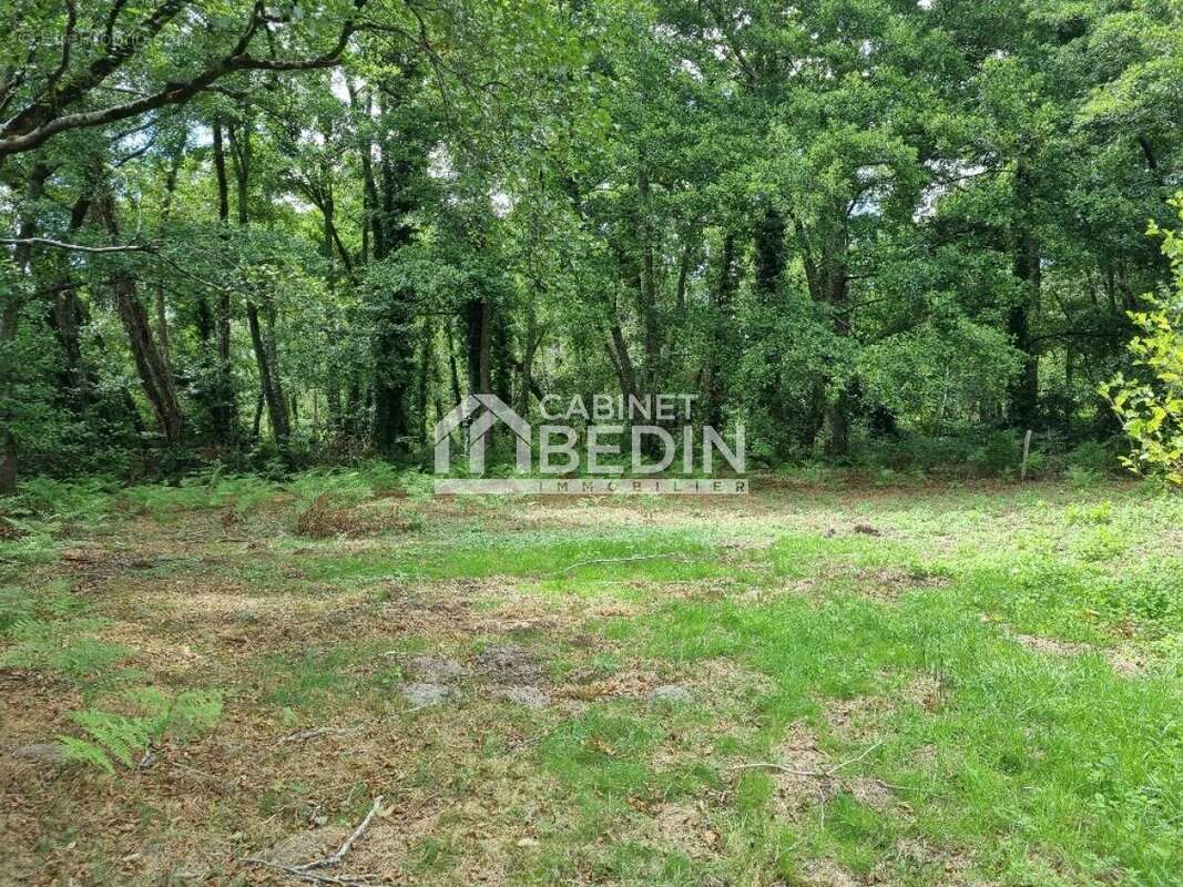 Maison à SAINT-PAUL-EN-BORN