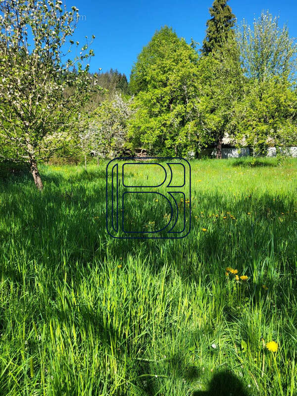 Maison à SAINT-FERREOL-DES-COTES