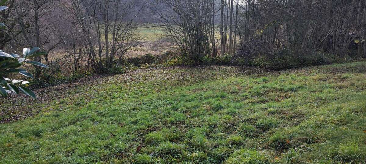Terrain à ROUGEMONT-LE-CHATEAU