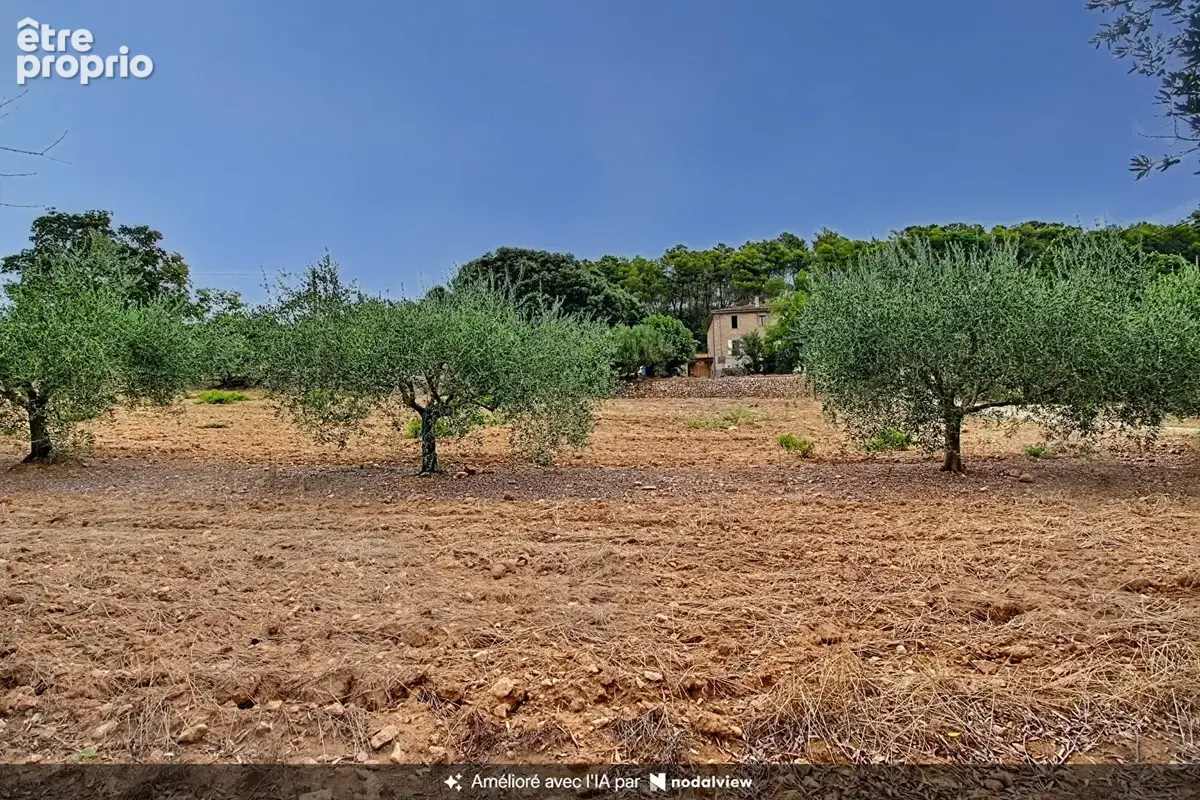 A VENDRE EN EXCLUSIVITE ! LORGUES - Maison 118 m² avec grand terrain d'environ 8 000 m² - photo 9