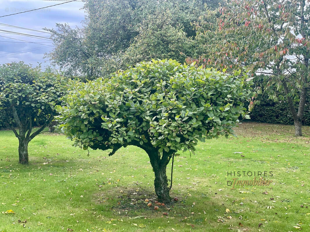 Maison à BEAUVOIR-EN-LYONS