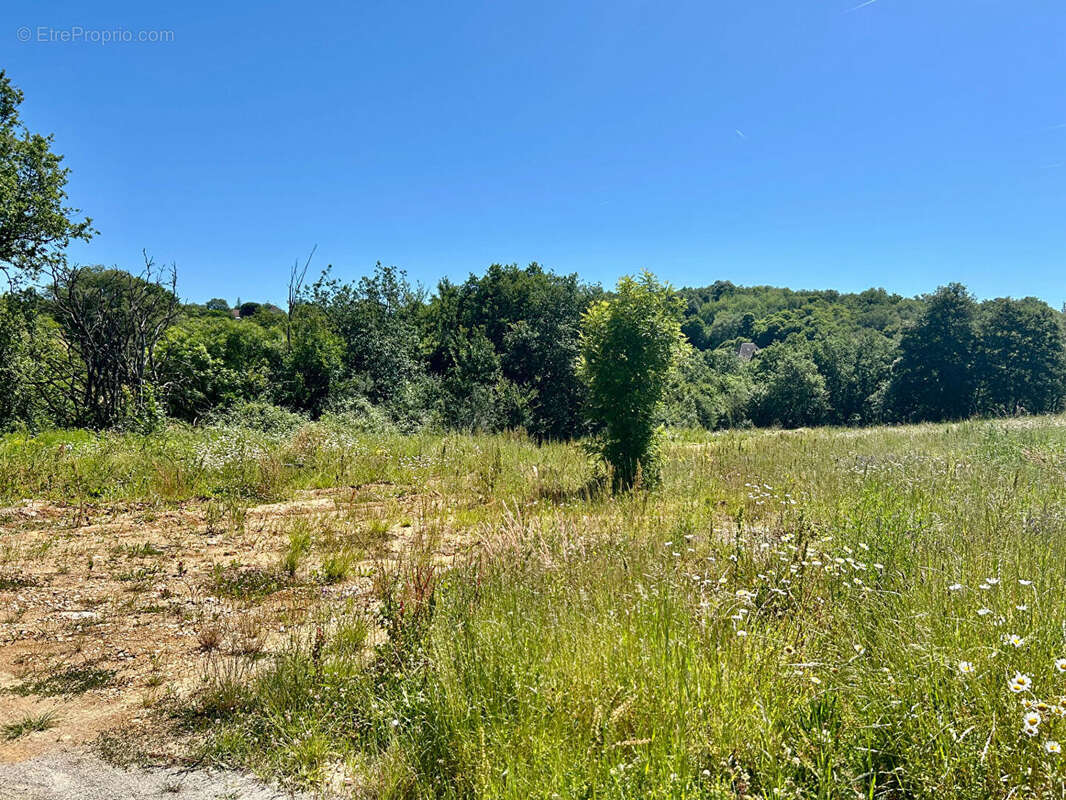 Maison à SAINT-PIERRE-LAFEUILLE
