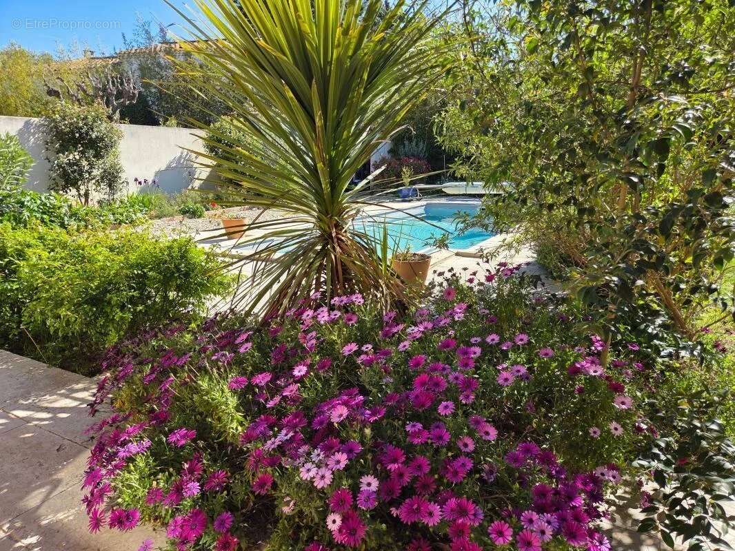 Maison à VILLENEUVE-LES-AVIGNON